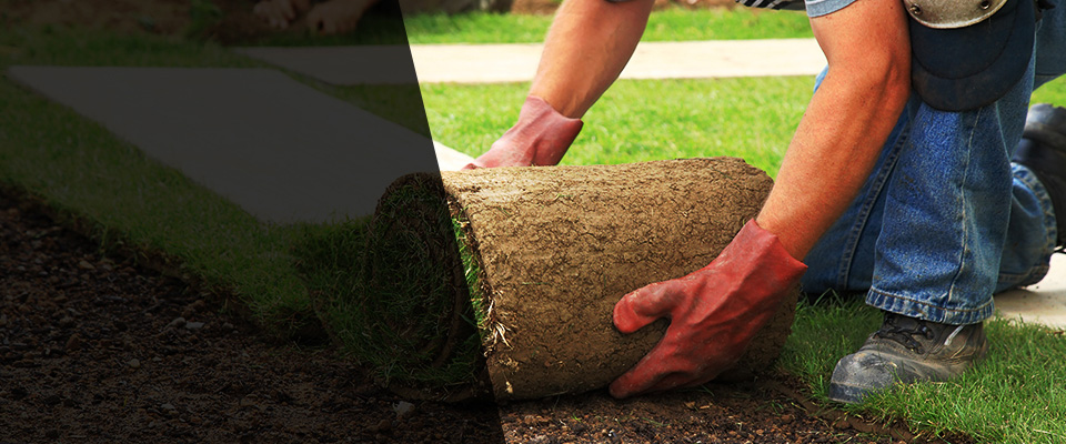New Richland Landscapers